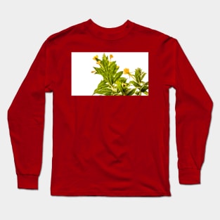 Herb Long Sleeve T-Shirt